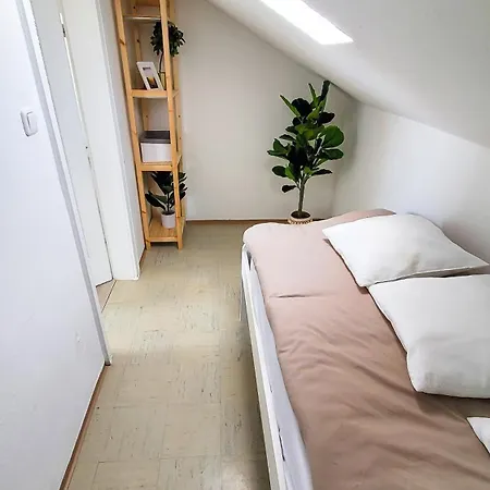 Dg Links -wunderschoene 40m² Grosse City Naehe Salzburg * Freilassing