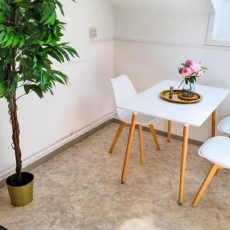 Appartement Dg Links -wunderschoene 40m² Grosse City Naehe Salzburg *